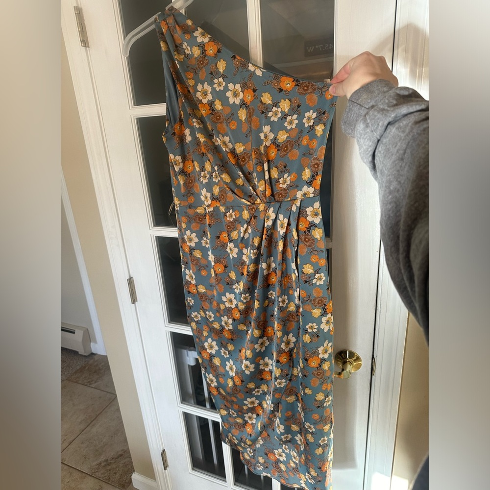 Beautiful silk Baltic born dress
